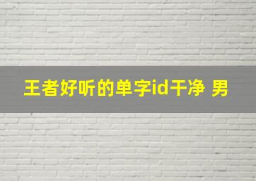 王者好听的单字id干净 男